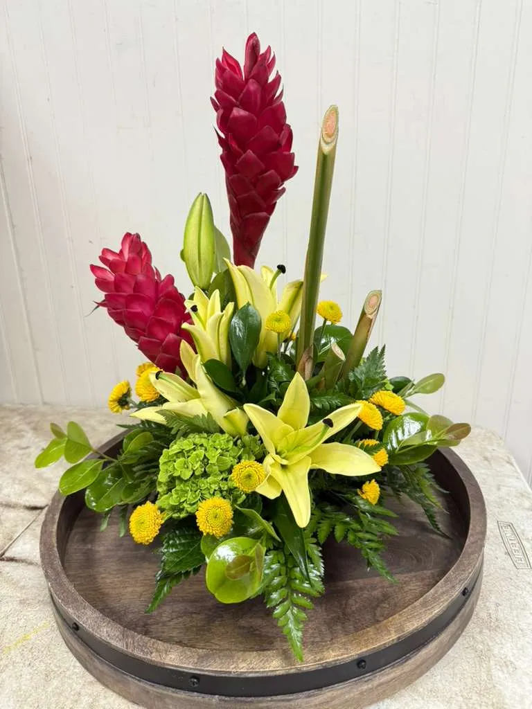 Tropical Balance