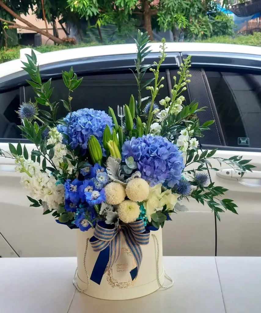 Serene Blue