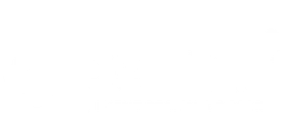 Palm & Co Event Design