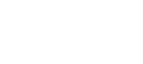 Palm & Co Event Design